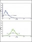 MMP3 Antibody (Center)