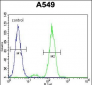 FAK1 Antibody (Y576)