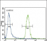 CYP3A4 Antibody (Center)