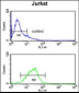 STIP1 Antibody (Center)