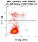 ABCB5 Antibody (N-term)