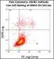 ABCB5 Antibody (N-term)