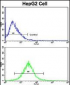 GAPDH Antibody (C-term R248)