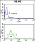 EXOSC8 Antibody (C-term)