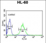 SNRPD1 Antibody (Center)