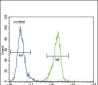 ENPP2 Antibody (Center K416)