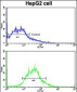 ADAM9 Antibody (N-term)