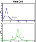 GOLPH3 Antibody (C-term)