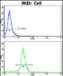 AXL Antibody