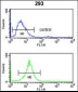 RFC3 Antibody (Center)