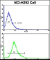 ELF4 Antibody (Center)