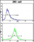 IDH1 Antibody (N-term)