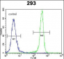 IDH1 Antibody (Center)