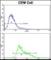 IGHA1 Antibody (C-term)