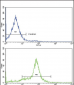 GDF6 Antibody (C-term)