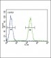 GIPR Antibody (N-term)