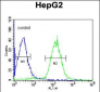 PLTP Antibody (C-term)