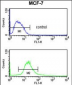 POLDIP2 Antibody (C-term)