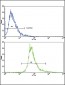 BDNF Antibody (C-term)