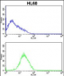 CASP2 Antibody (Center)