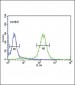 PCSK9 Antibody (C-term)