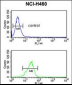 PITX1 Antibody (Center)