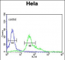 S100A6 Antibody (C-term)