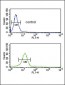 COL5A2 Antibody (N-term)