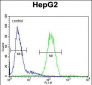 SERPINH1 Antibody (Center)