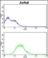 ATG14 Antibody (N-term)