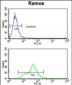 ENOA Antibody (C-term)