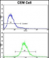 CD36 Antibody (Center)