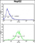 ENOB Antibody (Center)