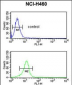 BLNK Antibody (Center)