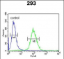 DPP8 Antibody (C-term)