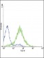 EDNRA Antibody (Center)