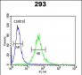 CEA Antibody (Center)