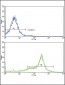 CAV3 Antibody (N-term)