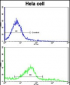 CLNS1A Antibody (C-term)