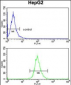 ELOVL6 Antibody (N-term)