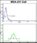 FABP3 Antibody (N-term)