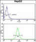 ABCG1 Antibody (N-term)