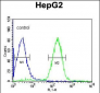 ORM1 Antibody (C-term)