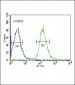 ALB Antibody (C-term)