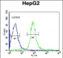 VHL Antibody (C-term)