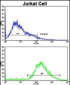 VIP Antibody (C-term)