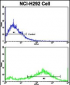 SPP1 Antibody (C-term)