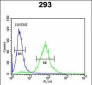 SETD8 Antibody (Center)