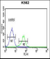 CTSE Antibody (Center)