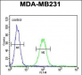 CTSF Antibody (Center D276)